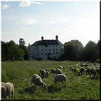 01-06-2008 18.05.53.JPG